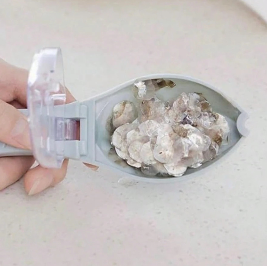 1 pc Fish Scale Remover with Storage Box Kitchen Seafood Cleaning Tool