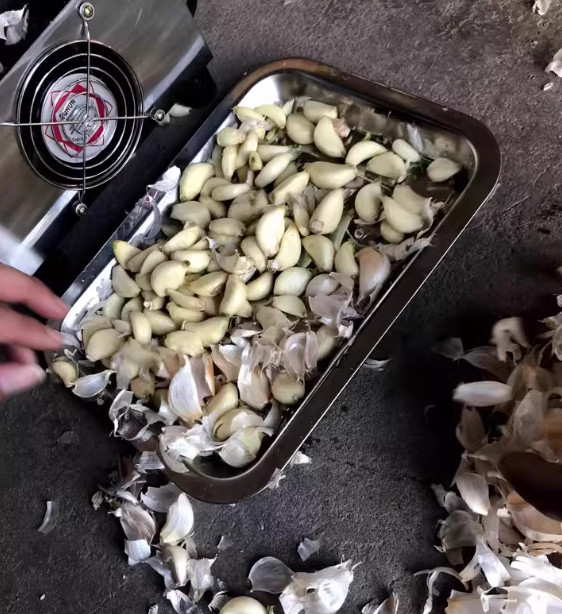 110V Electric Garlic Peeling Machine Household / Commercial Garlic Peeler 20KG/H