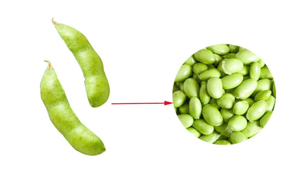 220V Powered Beans Peeling Machine 120r/min Semi-auto Pea Peeling Machine239668