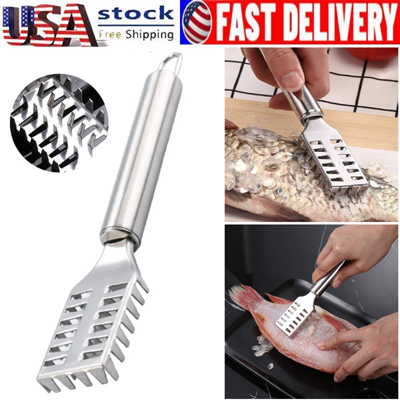 Fish Skin Remover Stainless Steel Scaler Brush Non slip Handle Seafood Tool