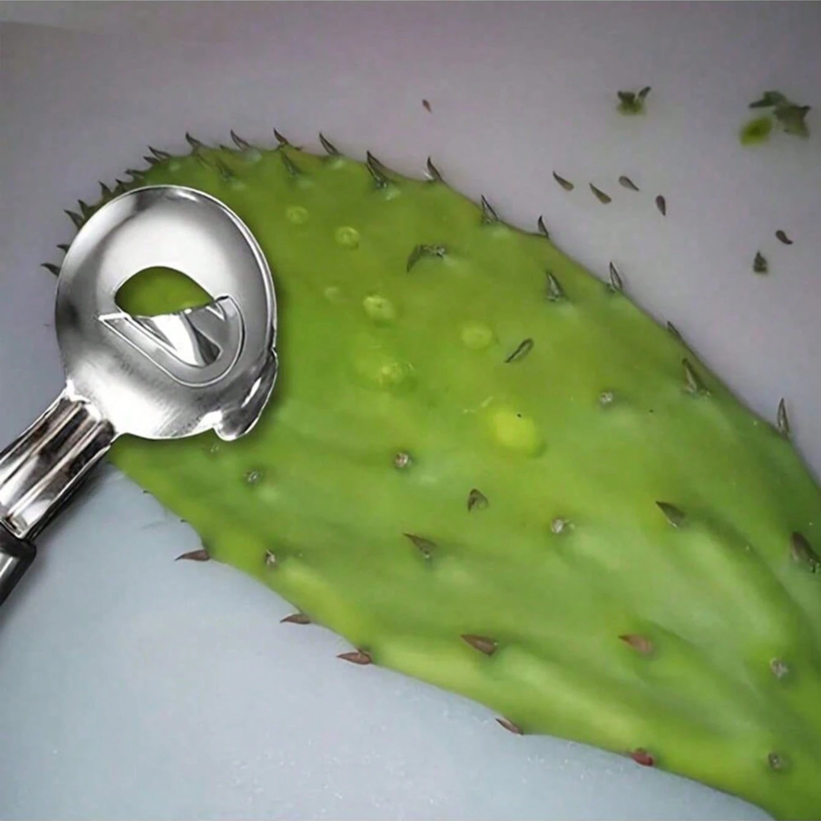 Stainless Steel Cactus Peeler Spoon Cuchara Peladora De Nopales Melon Baller