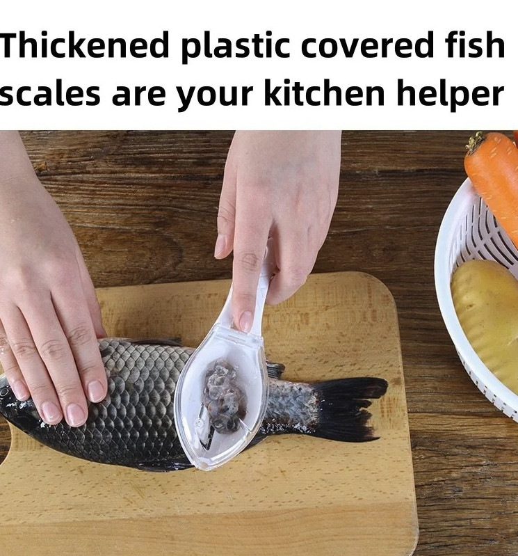 1pc Fish Scale Remover: Stainless Steel Descaler Tool w/ Cover Box – NEW