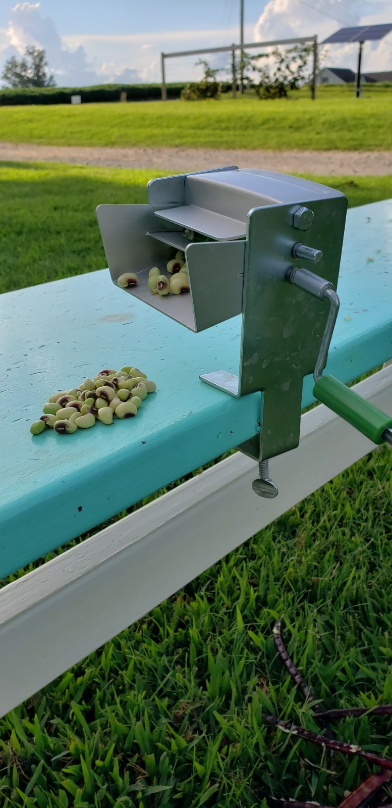 Pea Sheller Jr.