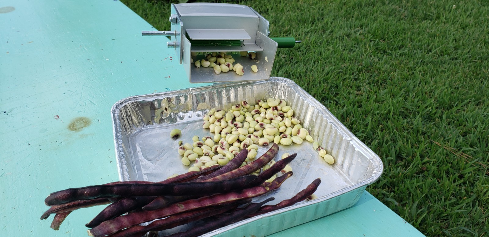 Pea Sheller Jr.
