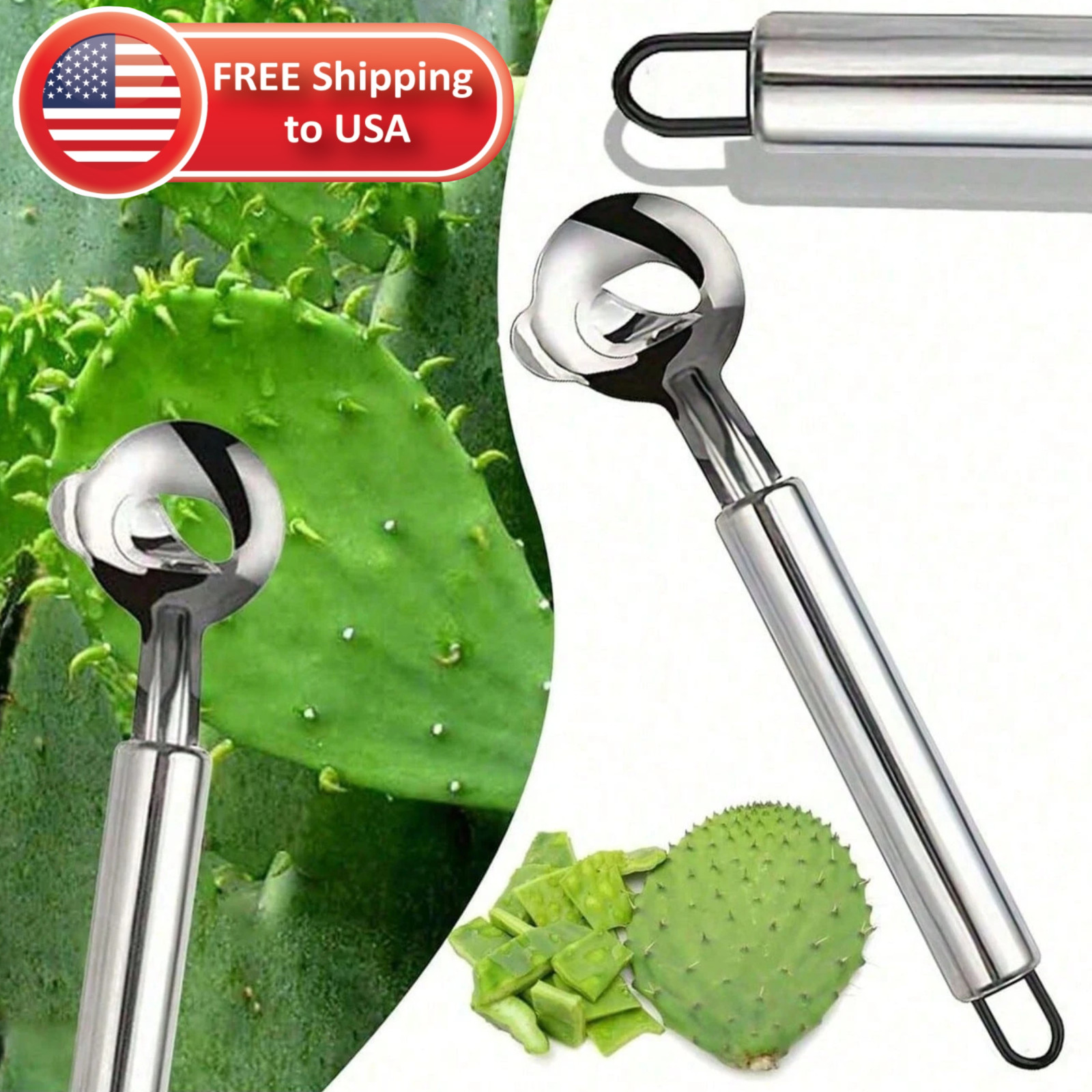 2Pcs Cactus Peeler Peladora Vegetable Fruit Baller Seed Remover Kitchen Tool US